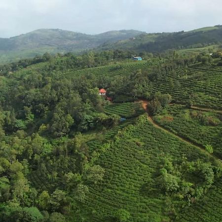 Tea Haven By Yathroam Konuk evi Vagamon Dış mekan fotoğraf