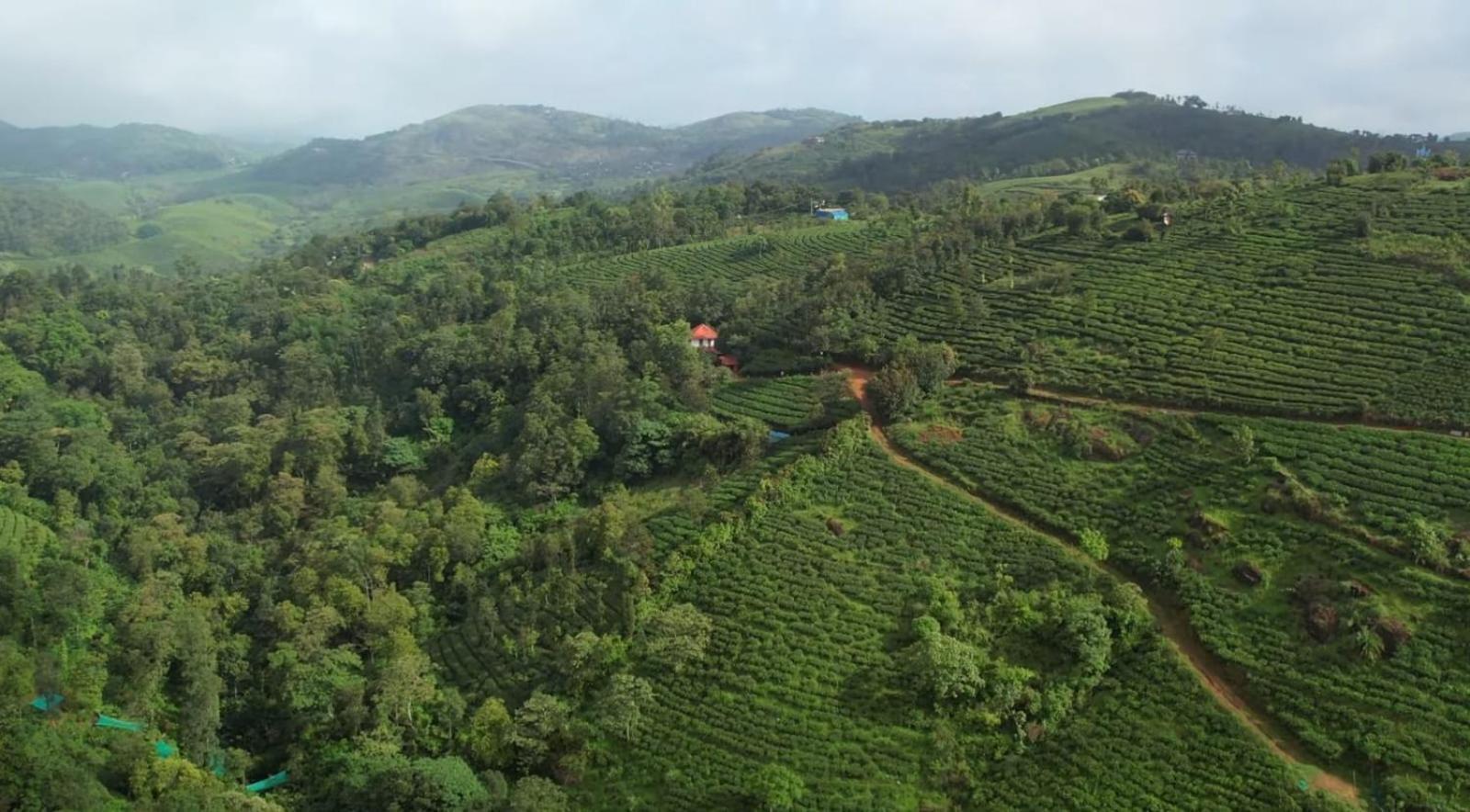 Tea Haven By Yathroam Konuk evi Vagamon Dış mekan fotoğraf