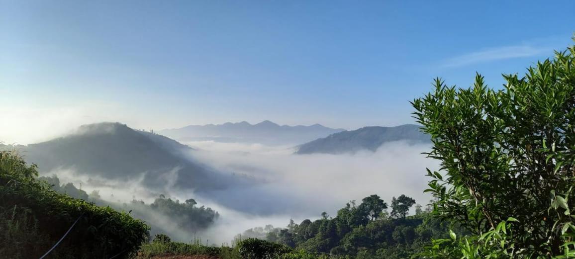 Tea Haven By Yathroam Konuk evi Vagamon Dış mekan fotoğraf